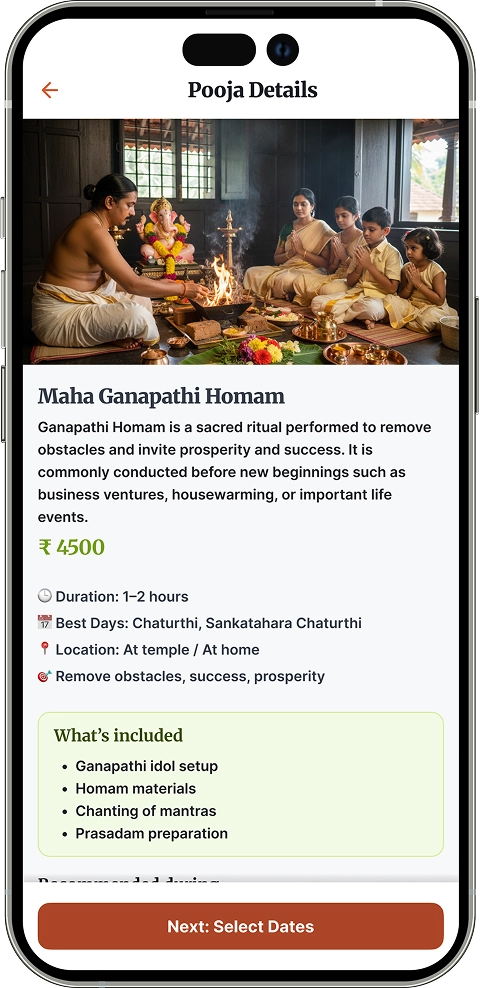 Detailed information about the selected ritual